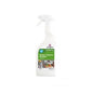 Jangro Kitchen Cleaner Sanitiser – Odourless